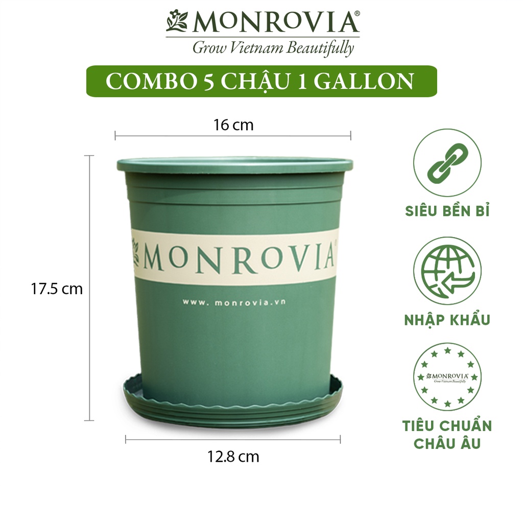 Combo 5 Chậu trồng cây MONROVIA 1 Gallon, kèm đĩa lót, cây cảnh mini, trồng rau, hoa, để bàn, treo ban công, nhập khẩu