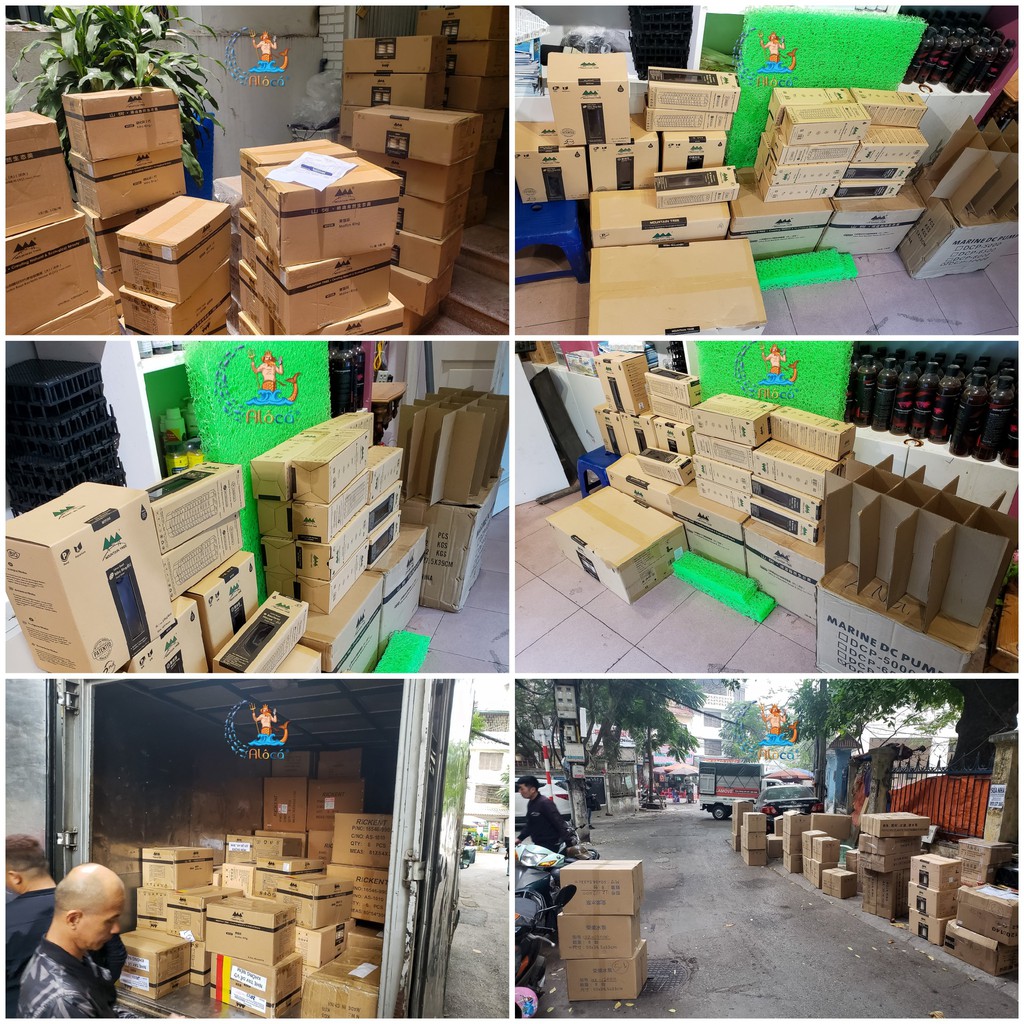 Hộp 5L sứ lọc Mountain Tree Nitro Ring 2 củ sen cắt lát vật liệu lọc cao cấp khử NO2 nuôi vi sinh