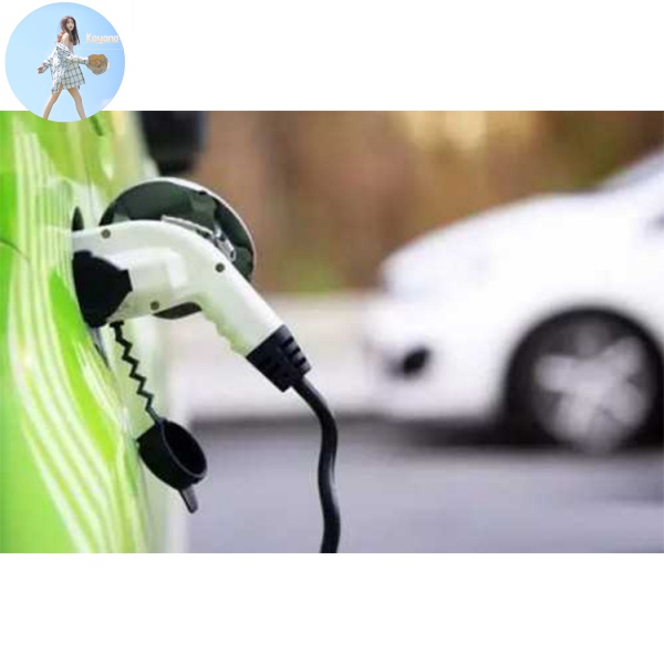 Túi Đựng Đồ Đa Năng Tiện Lợi Dễ Sử Dụng Dành Cho Xe Hơi | BigBuy360 - bigbuy360.vn