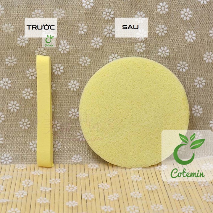 COMBO 10 gói Bông nở bọt biển rửa mặt 12 miếng CHIVEY nhiều màu COTEMIN