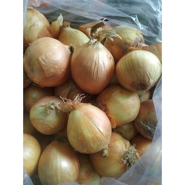 Hành tây Đà Lạt