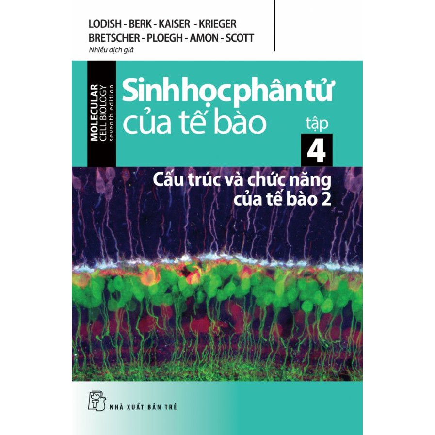 Sách - Sinh Học Phân Tử Của Tế Bào - Tập 4: Cấu Trúc Và Chức Năng Của Tế Bào 2