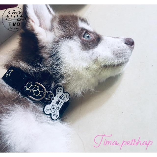 Vòng cổ Thú cưng 2 lớp - Thỏ