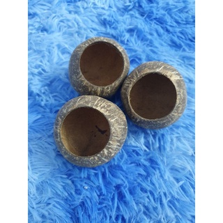 Cóng dừa  đựng lúa , kê , khoáng vvv