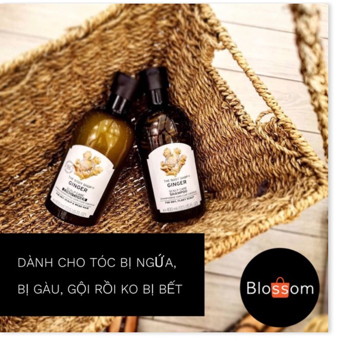 [Mã giảm giá mỹ phẩm chính hãng] Dầu gội hữu cơ - gừng tóc gàu/ fuji kiềm dầu - The body shop rất hiệu quả rất thích