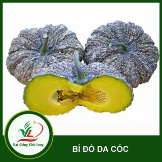 Hạt giống Bí đỏ da cóc RD 565 - 5 hạt