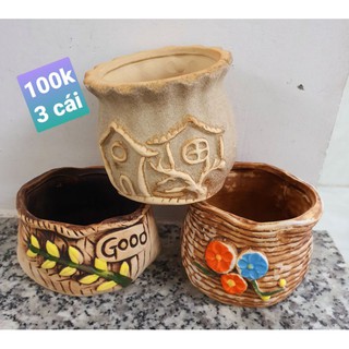 combo 3 cái chậu