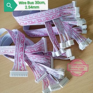 Dây BUS 2 đầu 30cm,2.54mm các loại:  Wire Bus 2( 2chân,3 chân,4 chân,5 chân,6 chân,8 chân, 10 chân.)