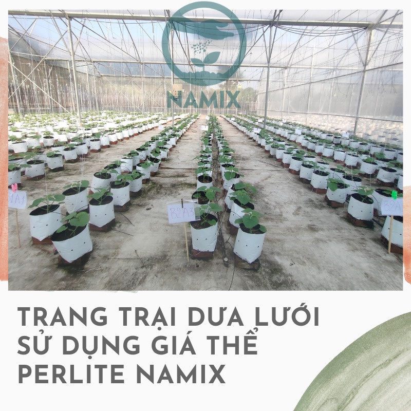 Đá Perlite- đá trân châu Namix- làm giá thể trồng hoa-TÚI 5DM