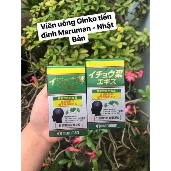 Viên uống bổ não Ginko tiền đình Maruman - Nhật Bản