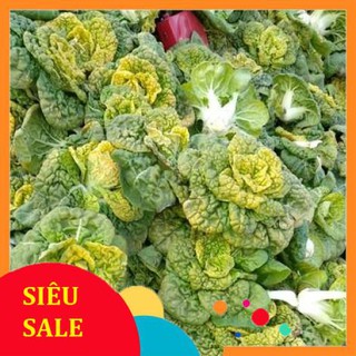 Hạt Giống Bắp Cải Hoa Vàng (2000 Hạt) - [MUA 3 TẶNG 1 CÙNG LOẠI] - Thơm Ngon, Năng Suất Cao