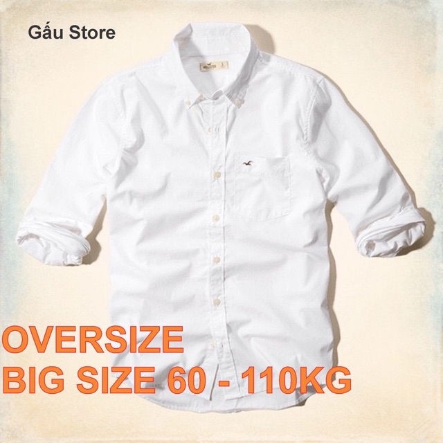 Áo sơ mi nam GẤU 194 cổ thuyền tay dài vải lụa mềm mại, ít nhăn - chuẩn form regular fit sang trọng - Hollister BigSize | BigBuy360 - bigbuy360.vn