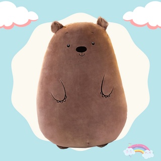 [CHUYÊN SỈ GIÁ SỐC] Gấu Bông Ôm Hình Gấu Tròn 50cm SIêu Mềm Mịn Ngộ Nghĩnh [ DIABRAND ]