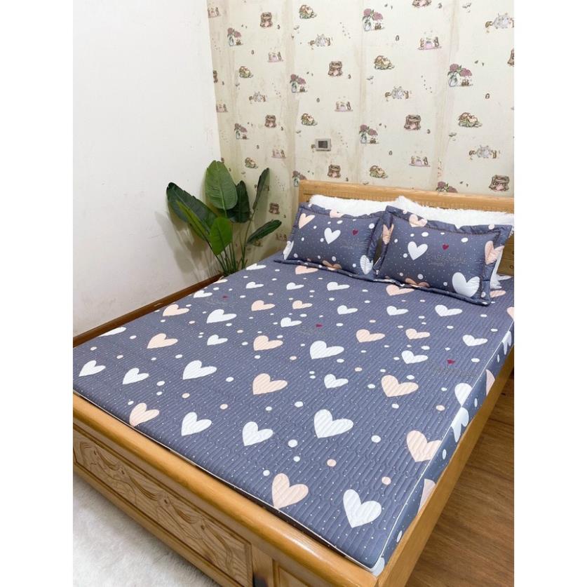 [FREE SHIP] Set Ga Cotton Chun Trần Bông Cao Cấp Kèm Hai Vỏ Gối, Ga Chun Trần 3 Lớp Hàng Loại 1