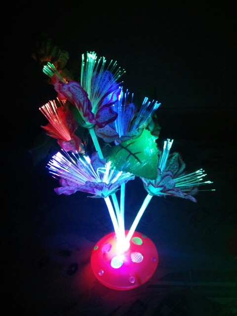 Chậu hoa led phát sáng đổi màu siêu đẹp