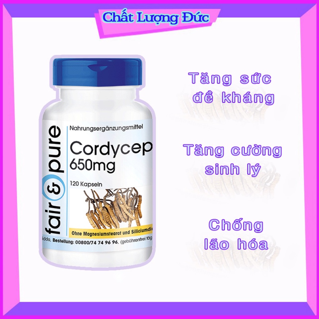 Viên uống đông trùng hạ thảo Cordyceps 650mg Đức Fair & Pure hộp 120v