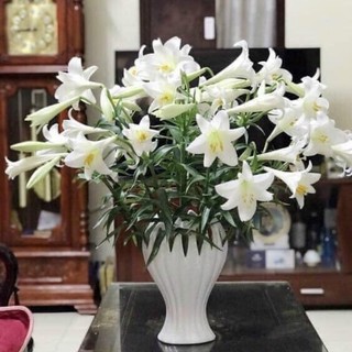 Lọ cắm hoa bàn tay phật gốm xứ bát tràng