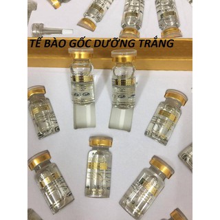 Tế bào gốc dưỡng trắng.