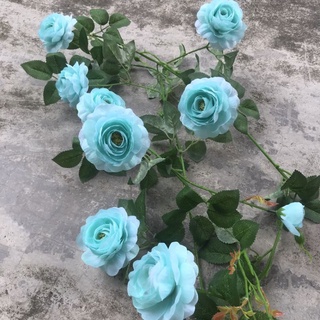 Combo 10 dây hồng 2m