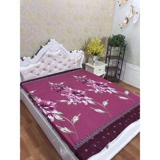 Ga chống thấm cotton,ga chống thấm cotton hoa văn, free ship,mẫu hoa trà mận