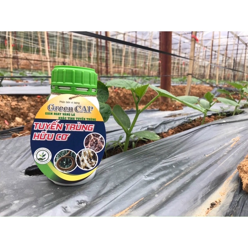 GREEN CAP - Tuyến Trùng  Hữu Cơ  Nhập khẩu Châu Âu