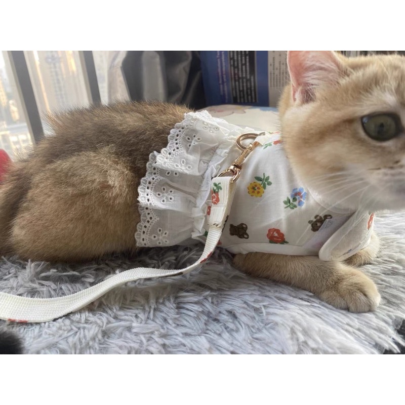 Dây dắt kèm Yếm cho Chó Mèo hoạ tiết Hoa nhí - Nhiều size, kích cỡ (Ảnh Thật)