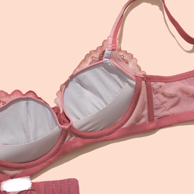 Bộ đồ lót PD mút vừa siêu mềm không gọng B99 | BigBuy360 - bigbuy360.vn