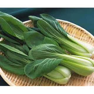 Hạt Giống Cải Chíp