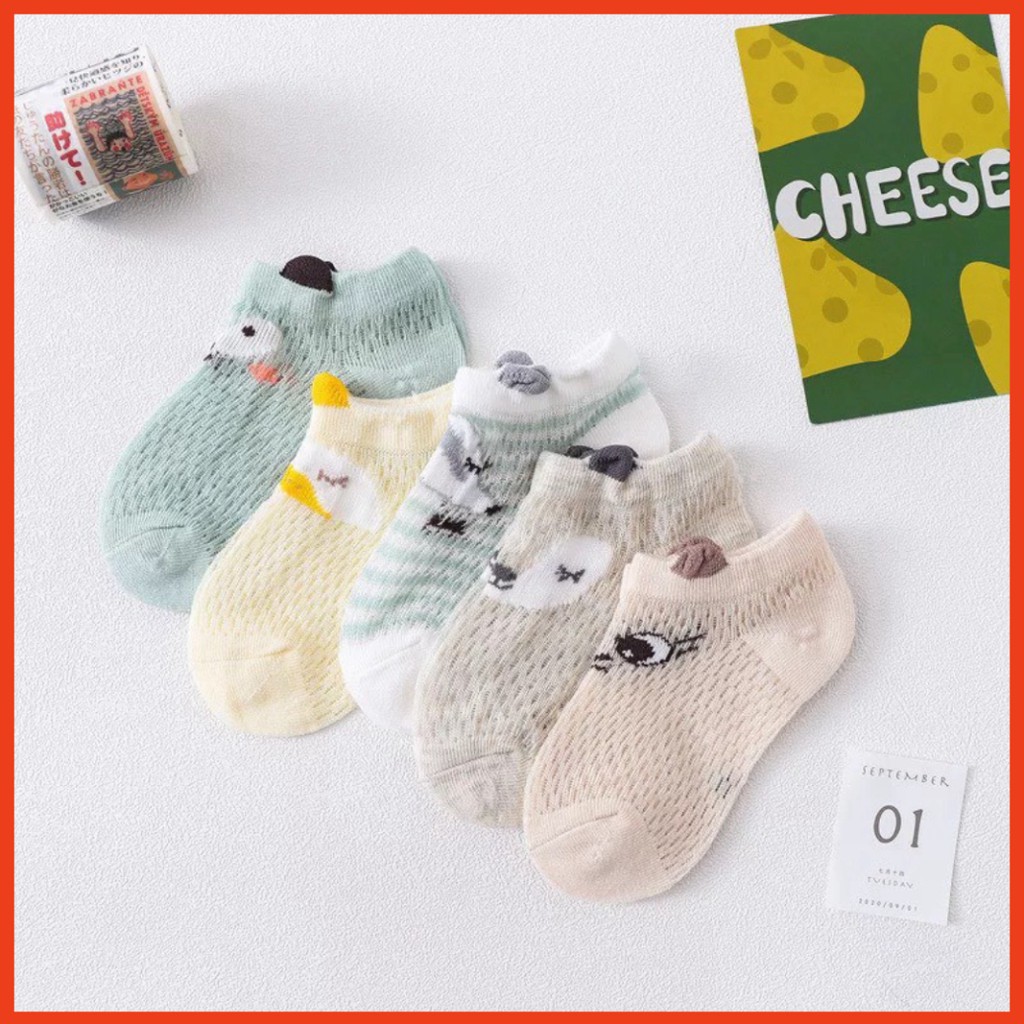 Set 5 Đôi Tất Hè Phối Lưới Xuất Hàn Cho Bé Trai Và Gái Hàng Mẫu Mới Cao Cấp