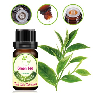 Tinh Dầu Trà Xanh nguyên chất Như Ý