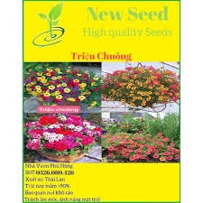 [Gói 1000 hạt] Hạt Giống Hoa Triệu Chuông F1 Dễ Trồng Hoa Nở Đẹp-Tổng kho hạt giống giá rẻ