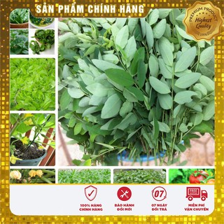 10 loại rau, quả dễ trồng nhất và nhanh cho ăn nhất vào mùa hè