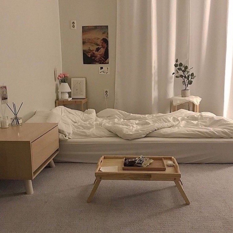 Thảm nỉ trải sàn, phông nền chụp ảnh