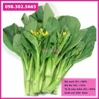 Hạt giống Cải ngồng xanh thân mập 20gr