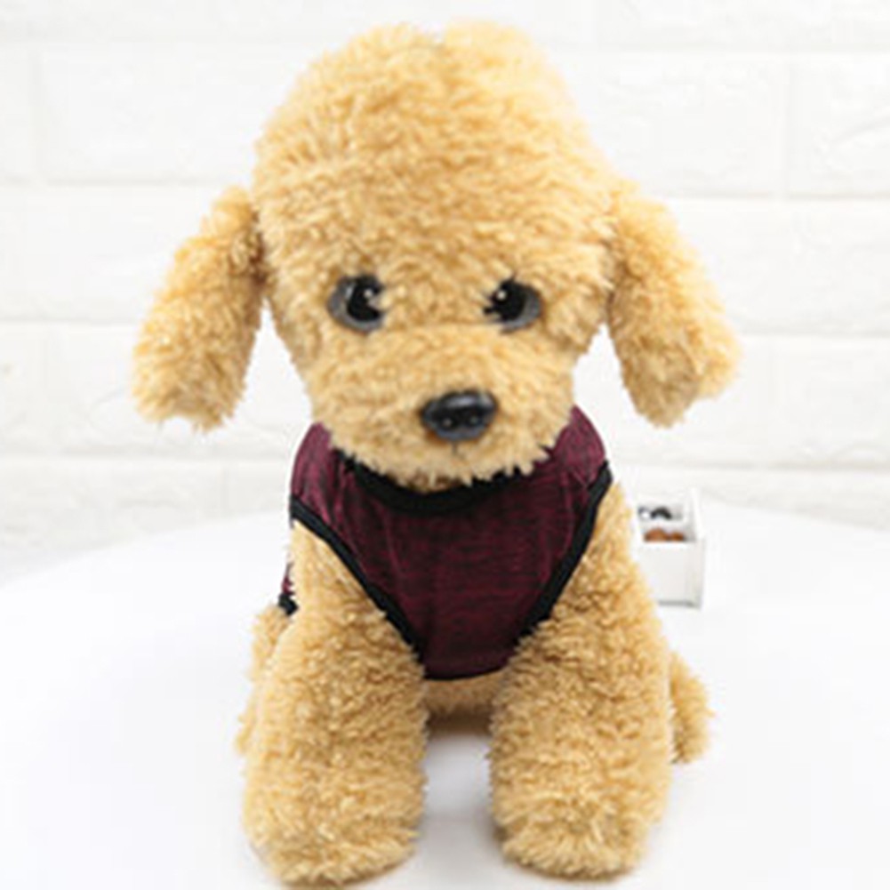 Áo khoác cotton thời trang mùa đông dành cho cún