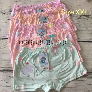 Combo 5 quần chíp đùi bé gái