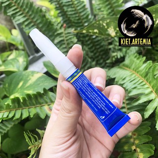Keo Dán Rêu Thuỷ Sinh