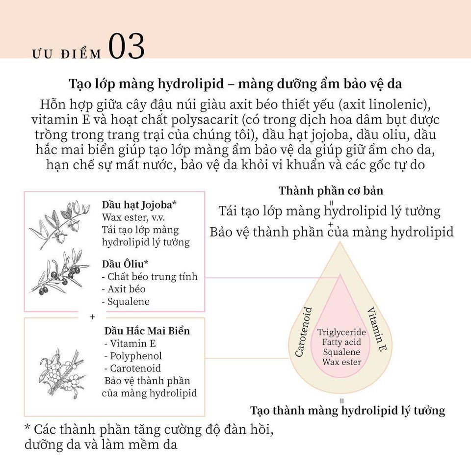 Kem nền dưỡng da đa năng hữu cơ naturaglacé make up cream size mini | BigBuy360 - bigbuy360.vn