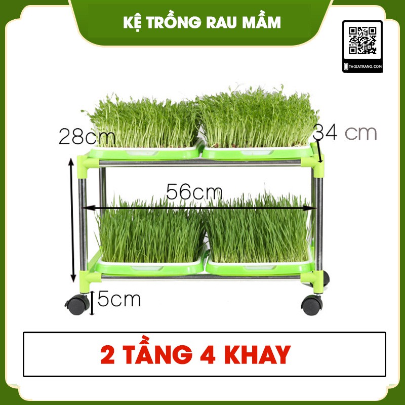 Bộ kệ trồng rau mầm thủy canh 2 tầng 4 khay