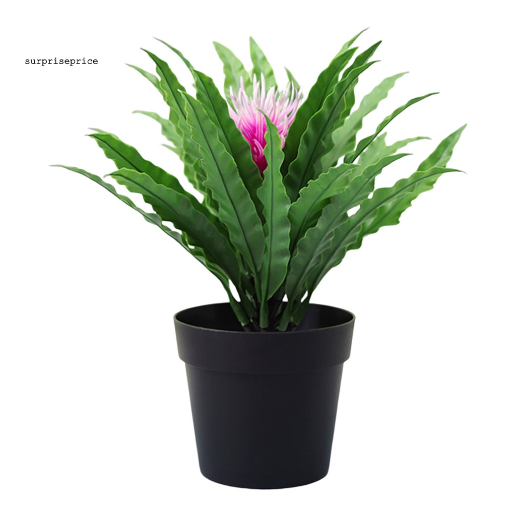 Chậu Cây Bonsai Giả Bằng Nhựa Màu Sắc Tươi Sáng Dùng Trang Trí Bàn Làm Việc