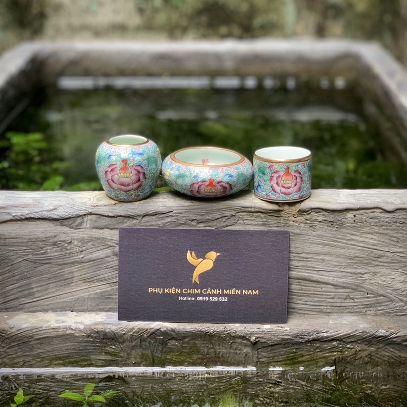 Cóng chim vẽ tay HOA TAM THÁI - Cửu Chính đường