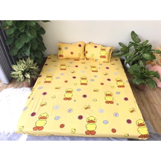 Set ga gối con gà vàng