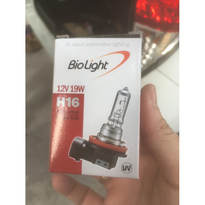 Bóng đèn sương mù Halogen H16 12V 19W Biolight innova , Vios , honda city , altis