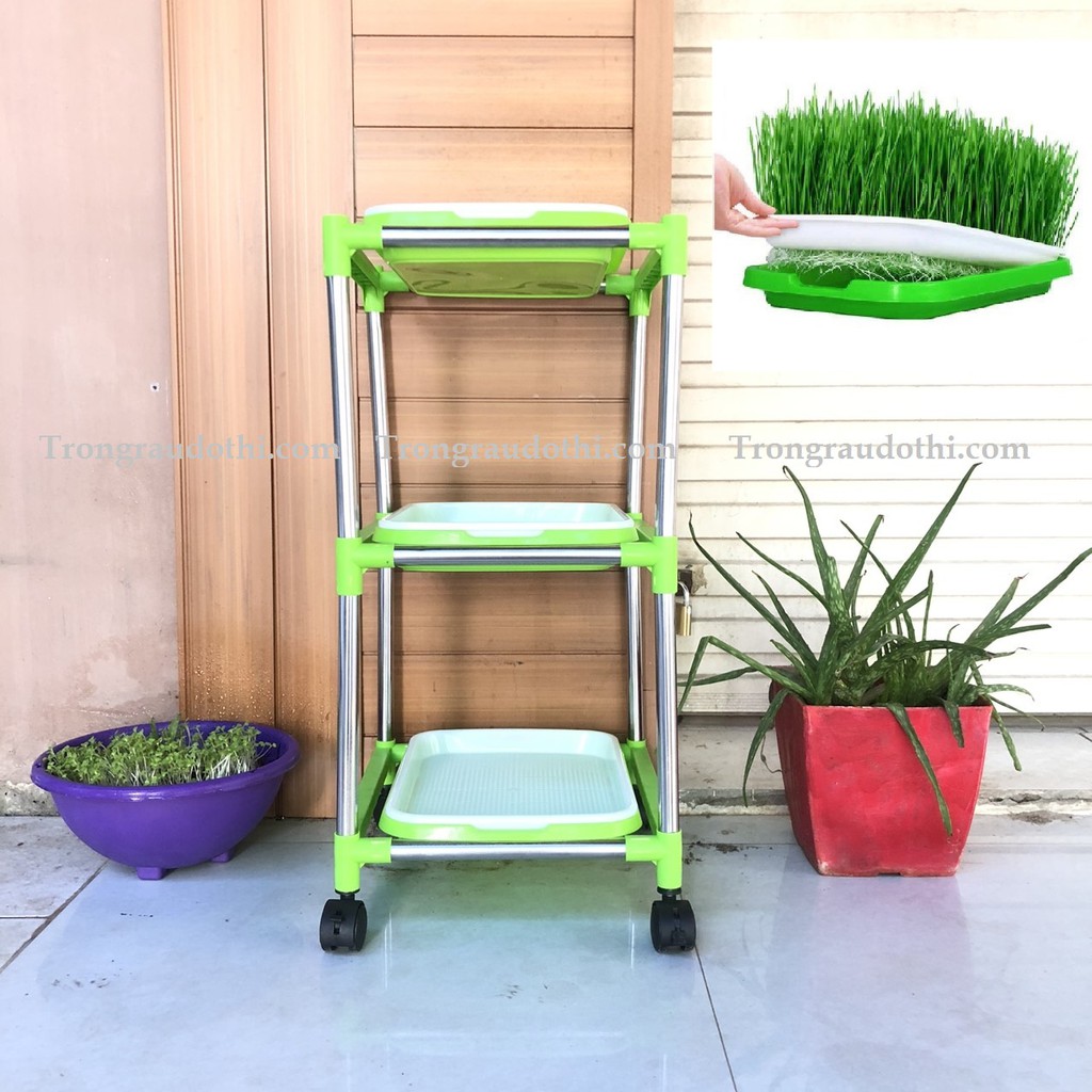 (TẶNG VÒI XỊT VÀ 200GRAM HẠT RAU MẦM ĐẬU HÀ LAN) Bộ chậu kệ trồng rau mầm lắp ghép 3 tầng 3 chậu