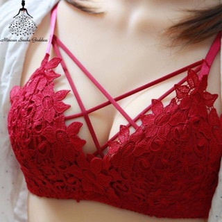 Combo khách sỉ bộ đồ lót chăn
