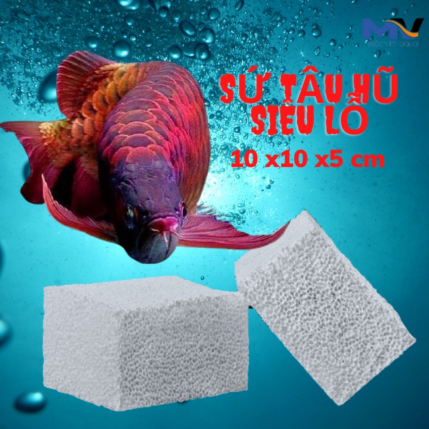SỨ TẬU HŨ SIÊU LỖ (10 x10 x5)cm | CỬA HÀNG CÁ CẢNH VÀ THIẾT BỊ LỌC NƯỚC HỒ CÁ MỘC VINH AQUA