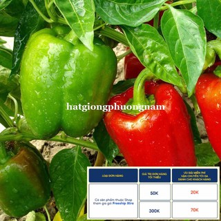 40H - HẠT GIỐNG ỚT CHUÔNG