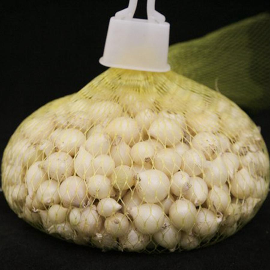 HÀNH TRẮNG - HÀNH TĂM 1KG DAKLAK