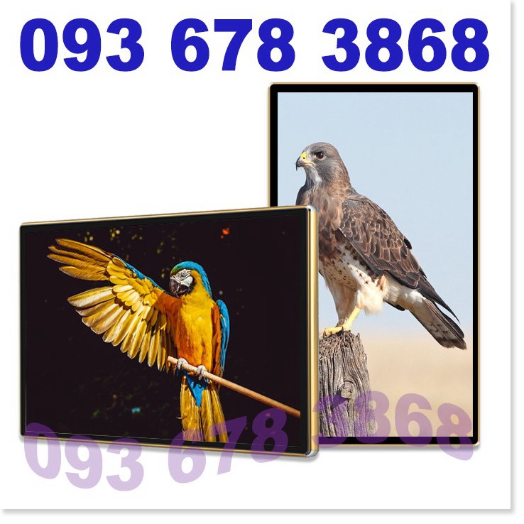 Màn hình quảng cáo treo tường Samsung 65 inch phiên bản Wifi sử dụng ngoài trời CYL-TG650B2-WS | BigBuy360 - bigbuy360.vn