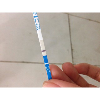 COMBO X 5 hộp test_Que thử thai Quickstrip